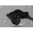 DA SILVA DP2385 - Pompe hydraulique, direction