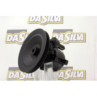Pompe hydraulique, direction DA SILVA DP2420