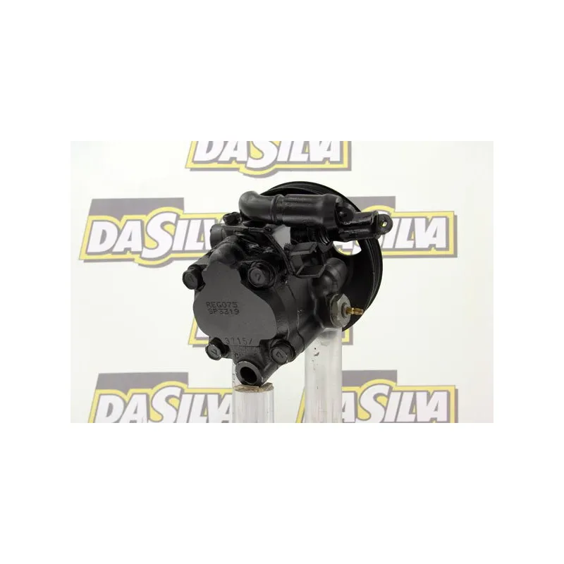 Pompe hydraulique, direction DA SILVA DP2465 - Visuel 2