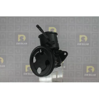 Pompe hydraulique, direction DA SILVA DP2466