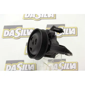 Pompe hydraulique, direction DA SILVA DP2492