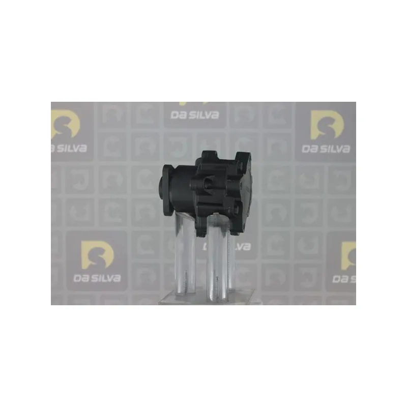 Pompe hydraulique, direction DA SILVA DP2750 - Visuel 1