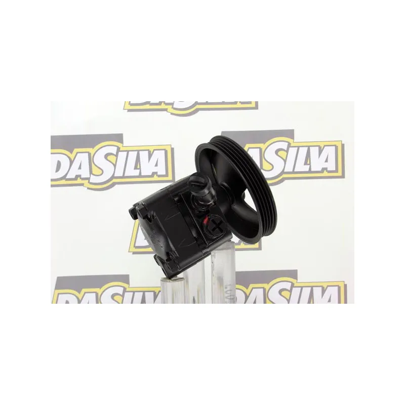 Pompe hydraulique, direction DA SILVA DP2895 - Visuel 2