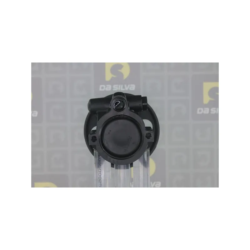 Pompe hydraulique, direction DA SILVA DP2919 - Visuel 2
