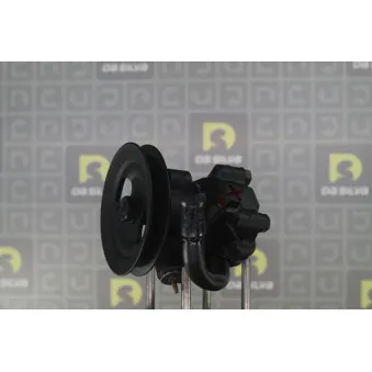 Pompe hydraulique, direction DA SILVA DP2933