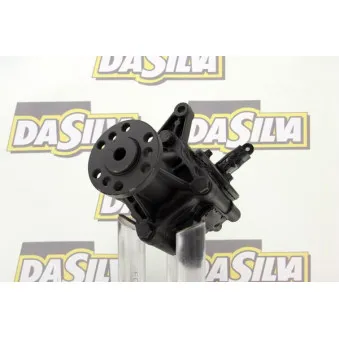 Pompe hydraulique, direction DA SILVA DP2936