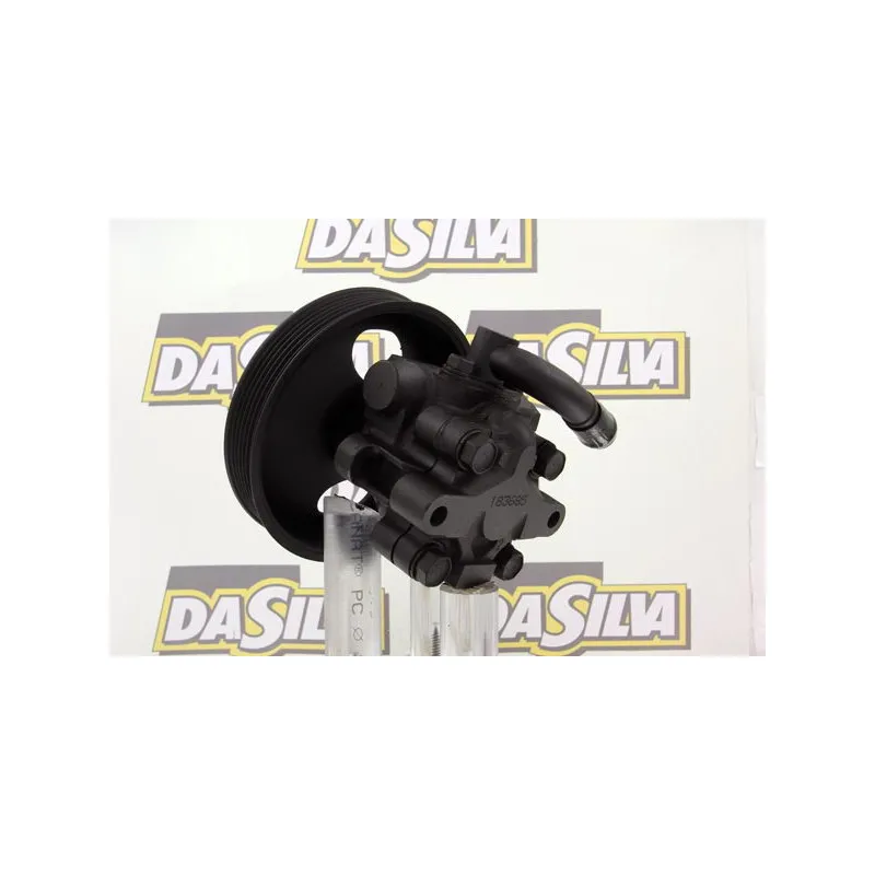 Pompe hydraulique, direction DA SILVA DP2963 - Visuel 1