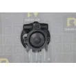 DA SILVA DP2970 - Pompe hydraulique, direction