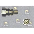 DA SILVA DP2970 - Pompe hydraulique, direction