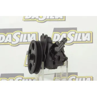 Pompe hydraulique, direction DA SILVA DP3077