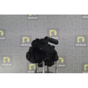 Pompe hydraulique, direction DA SILVA DP3081