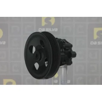 Pompe hydraulique, direction DA SILVA DP3116