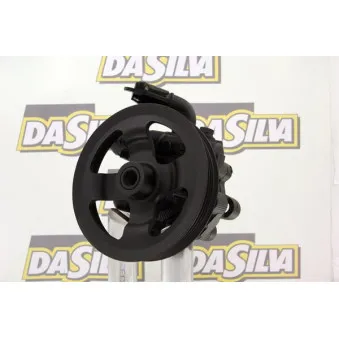 Pompe hydraulique, direction DA SILVA DP3123