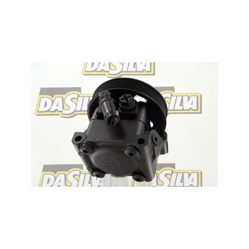 Pompe hydraulique, direction DA SILVA DP3134 - Visuel 2