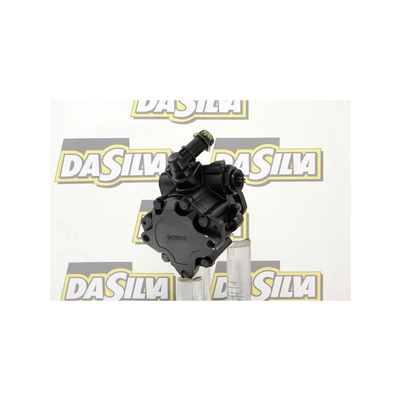 Pompe hydraulique, direction DA SILVA DP3162 - Visuel 2