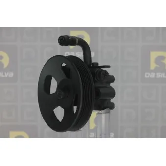 Pompe hydraulique, direction DA SILVA DP3213