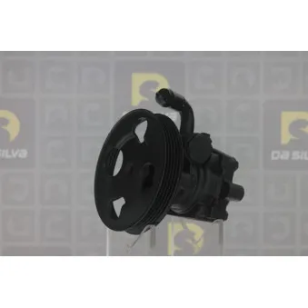 Pompe hydraulique, direction DA SILVA DP3319