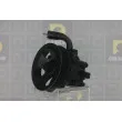 DA SILVA DP3323 - Pompe hydraulique, direction