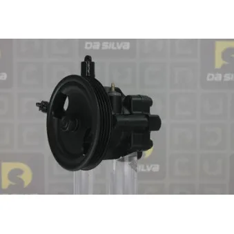 Pompe hydraulique, direction DA SILVA DP3427