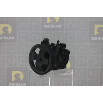 Pompe hydraulique, direction DA SILVA DP3436