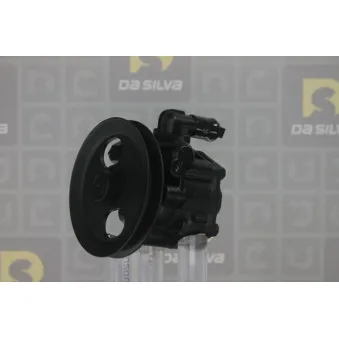 Pompe hydraulique, direction DA SILVA DP3437