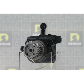Pompe hydraulique, direction DA SILVA [DP3525]