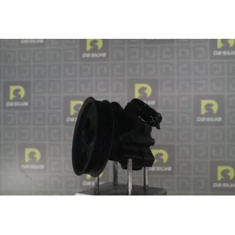 Pompe hydraulique, direction DA SILVA DP3547
