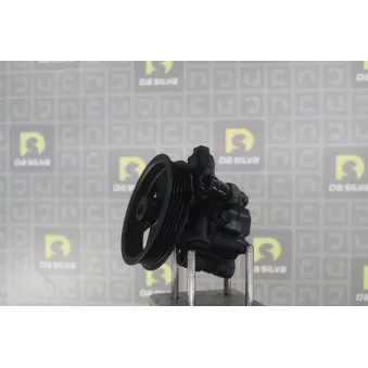 Pompe hydraulique, direction DA SILVA DP3554