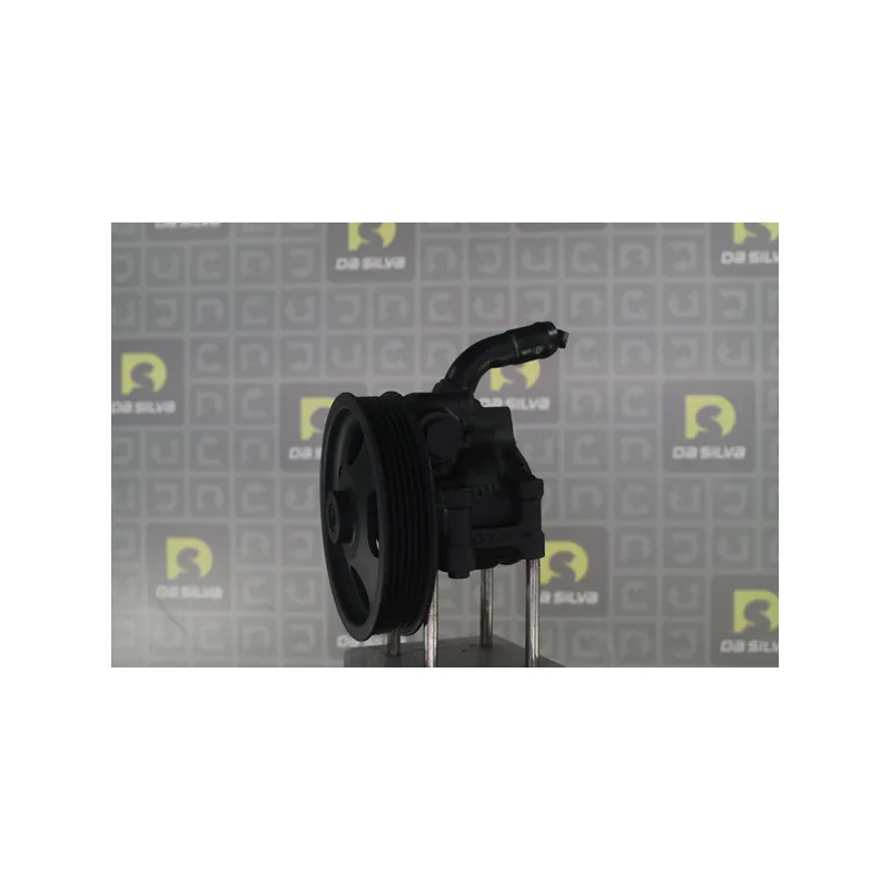 Pompe hydraulique, direction DA SILVA DP3560 - Visuel 1