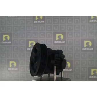 Pompe hydraulique, direction DA SILVA DP3563