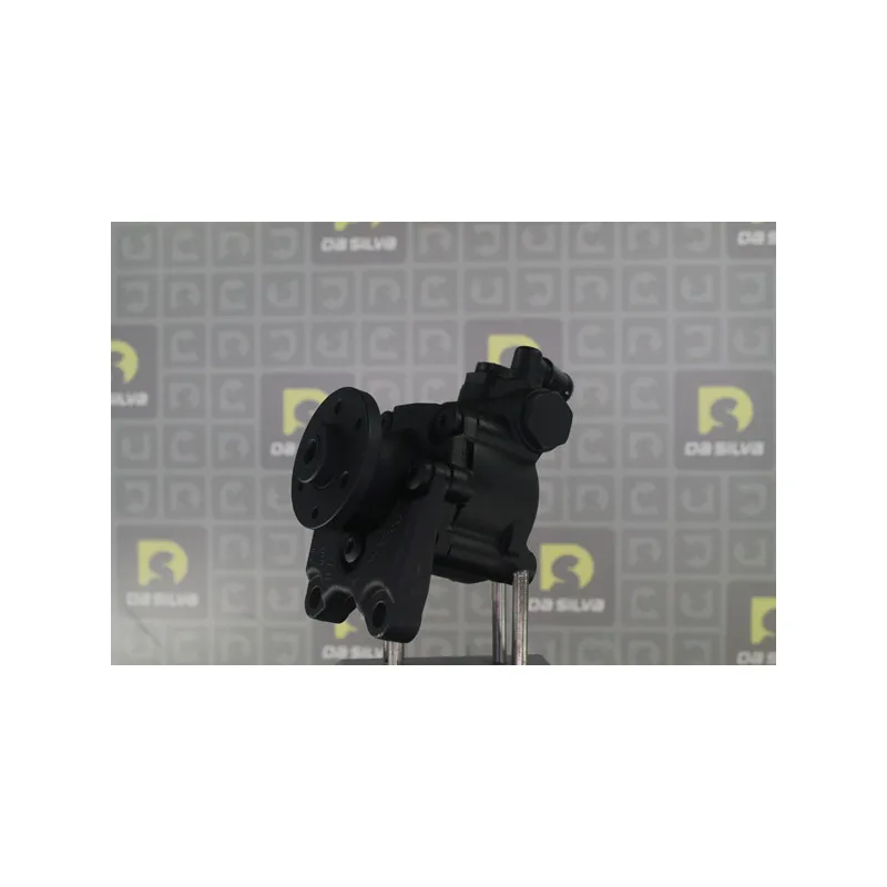 Pompe hydraulique, direction DA SILVA DP3599 - Visuel 1