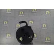 DA SILVA DP3619 - Pompe hydraulique, direction