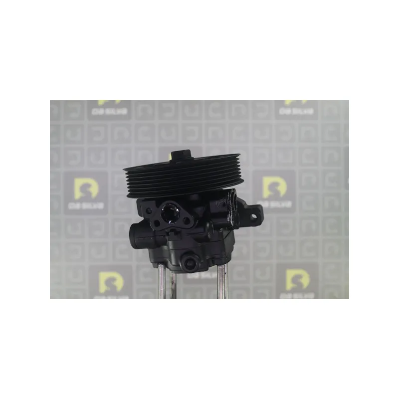 Pompe hydraulique, direction DA SILVA DP3620 - Visuel 2