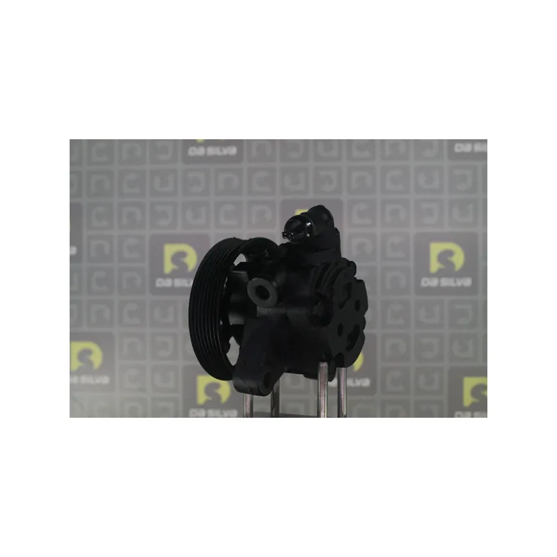 Pompe hydraulique, direction DA SILVA DP3623 - Visuel 2