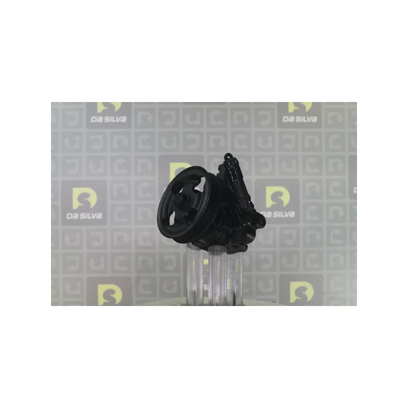 Pompe hydraulique, direction DA SILVA DP3695 - Visuel 1