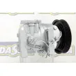 DA SILVA FC0396 - Compresseur, climatisation