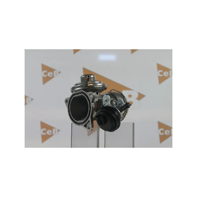 Vanne EGR DA SILVA GR6046 - Visuel 1