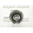 DA SILVA PL8193 - Poulie, vilebrequin