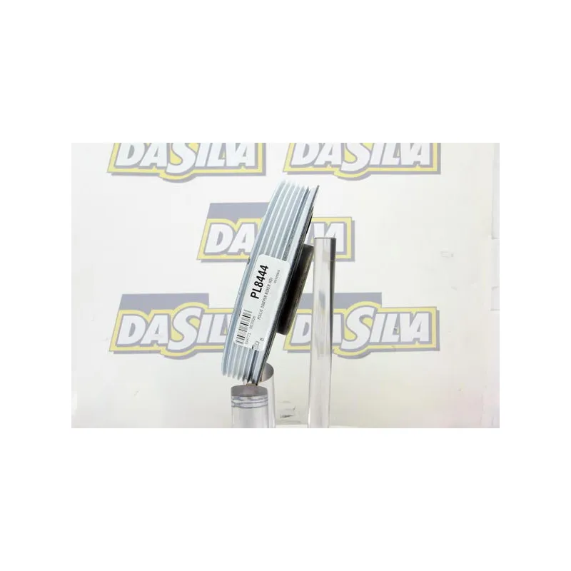 Poulie, vilebrequin DA SILVA PL8444 - Visuel 1