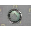 DA SILVA PL8598 - Poulie, vilebrequin