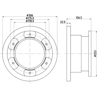 Jeu de 2 disques de frein arrière MINTEX OEM 42471150
