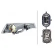 HELLA 1NE 271 532-011 - Projecteur antibrouillard
