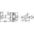 HELLA 6EK 002 843-007 - Interrupteur principal, batterie