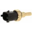 Sonde de température, liquide de refroidissement HELLA [6PT 009 309-811]
