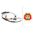 Capteur, vitesse de roue avant droit HELLA [6PU 230 040-121]