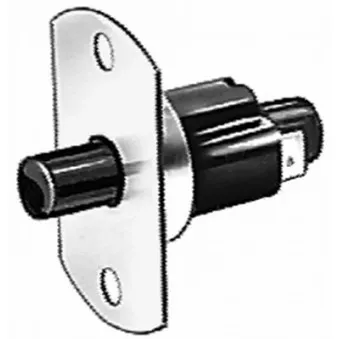 Interrupteur, contacteur de porte HELLA 6ZF 005 686-067