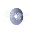 HELLA 8DD 355 108-311 - Jeu de 2 disques de frein avant