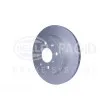 HELLA 8DD 355 111-591 - Jeu de 2 disques de frein avant