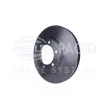 HELLA 8DD 355 111-861 - Jeu de 2 disques de frein avant