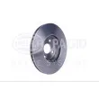 HELLA 8DD 355 113-591 - Jeu de 2 disques de frein avant